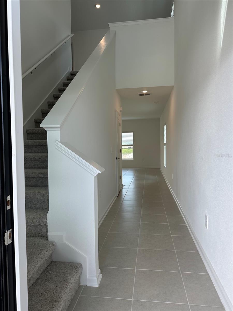 Image 27 of 29 For 5695 Ficus Aurea St