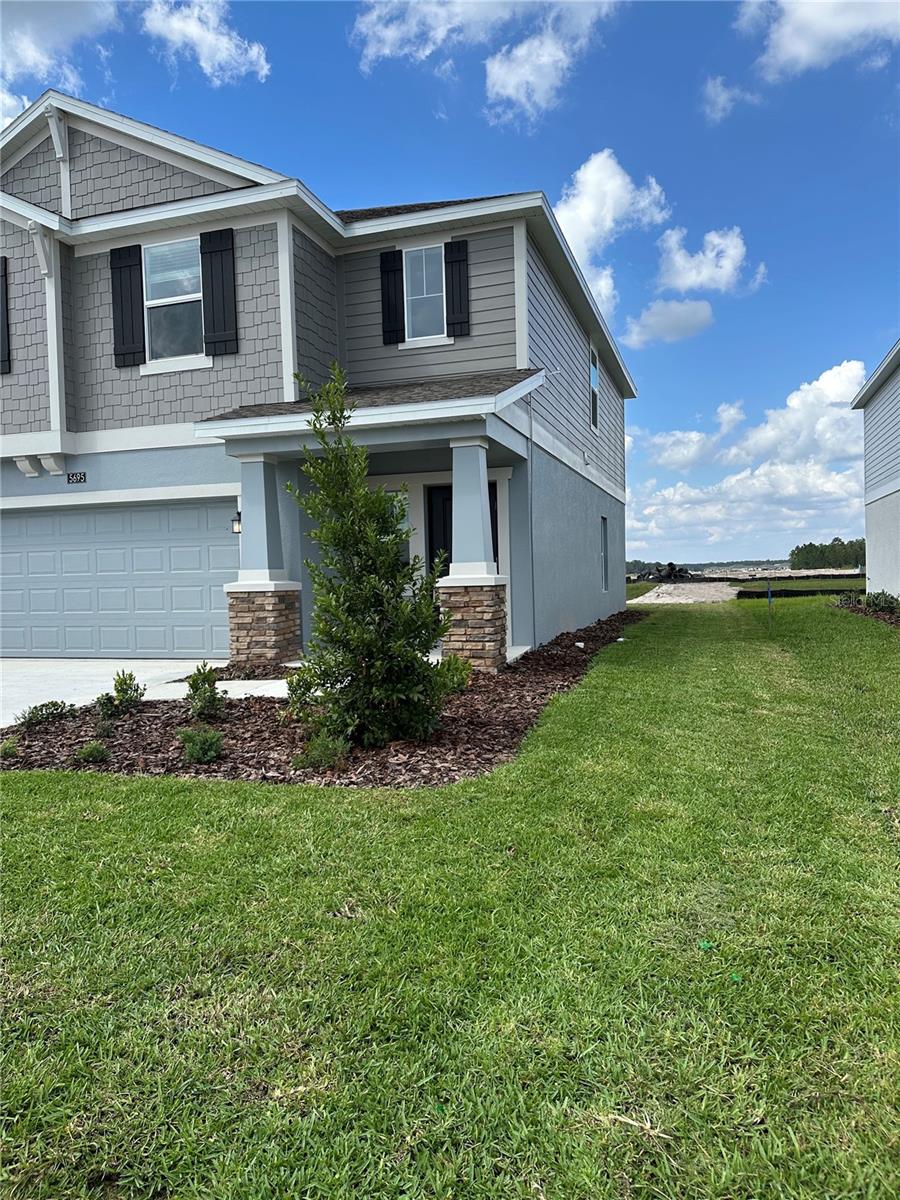 Image 28 of 29 For 5695 Ficus Aurea St