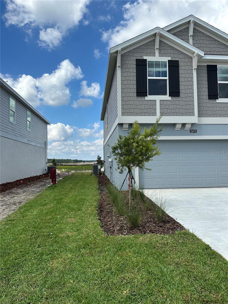 Image 29 of 29 For 5695 Ficus Aurea St