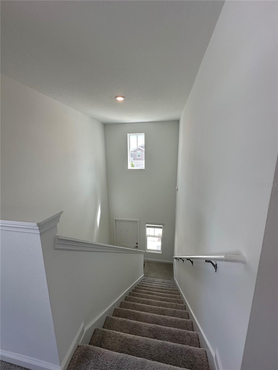 Image 5 of 29 For 5695 Ficus Aurea St