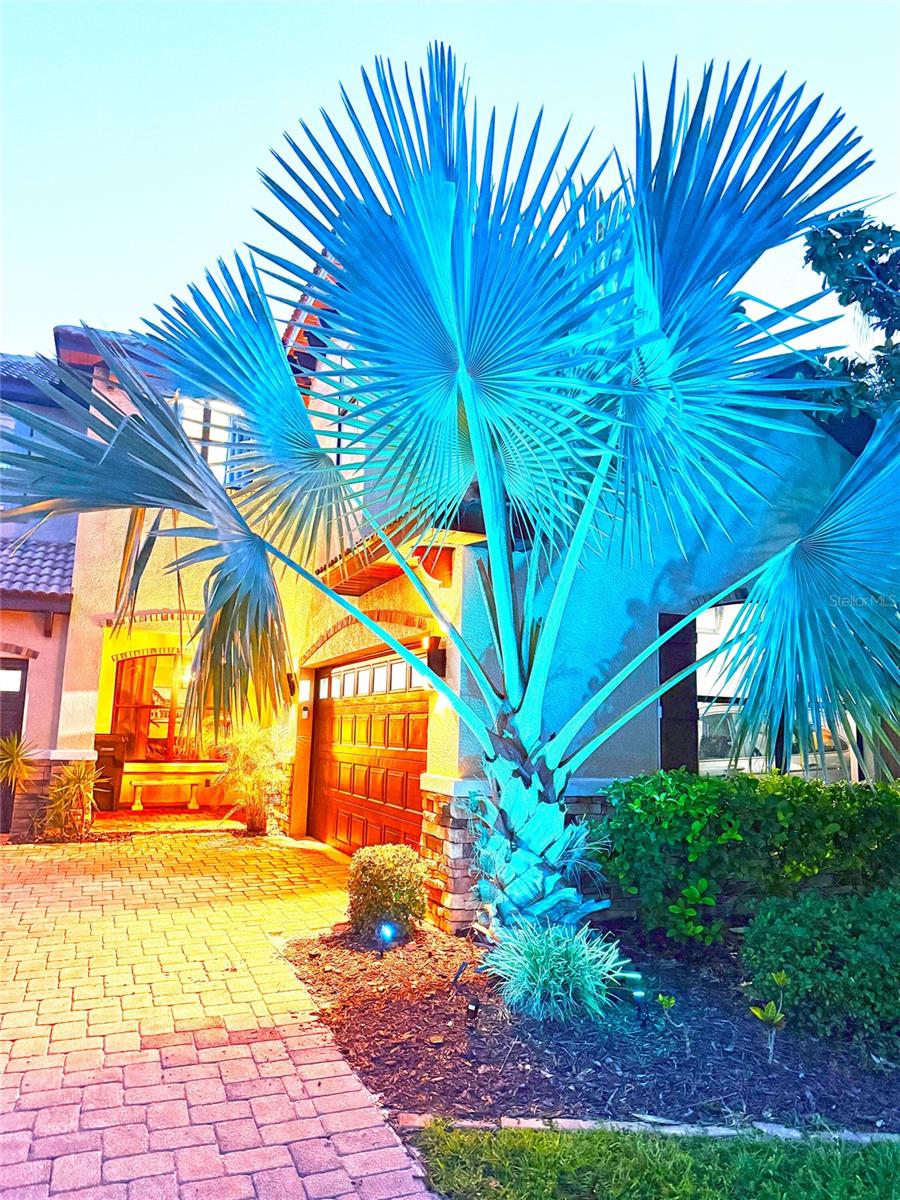 Image 37 of 75 For 18018 Malakai Isle Drive