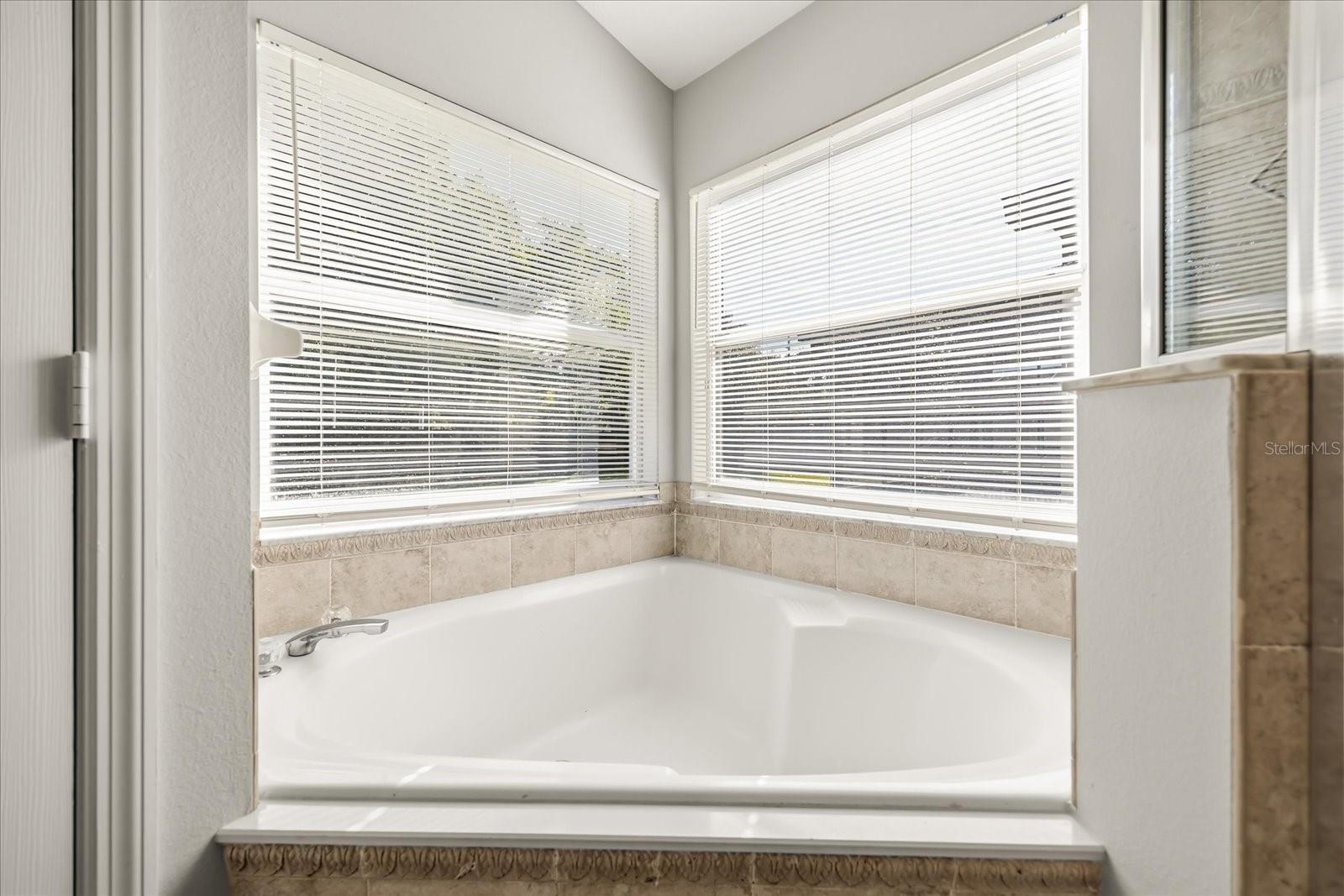 Image 13 of 34 For 9729 Pecky Cypress Way