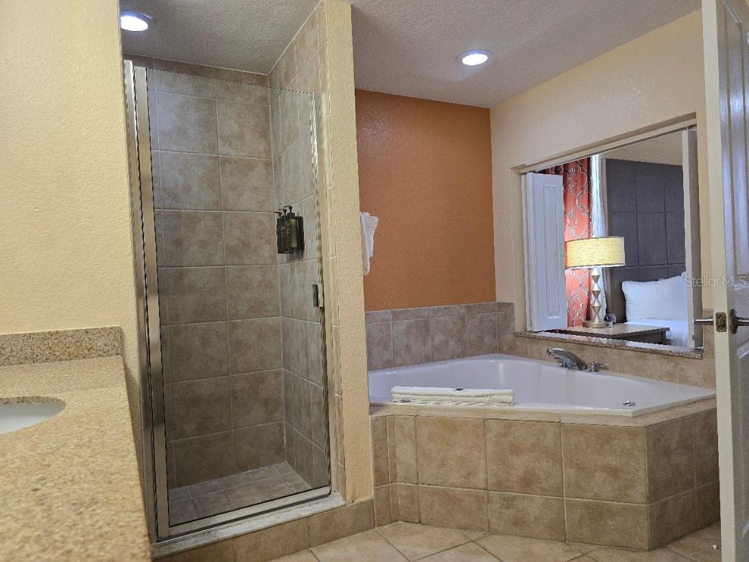 Image 11 of 23 For 12556 Floridays Resort Drive A-201