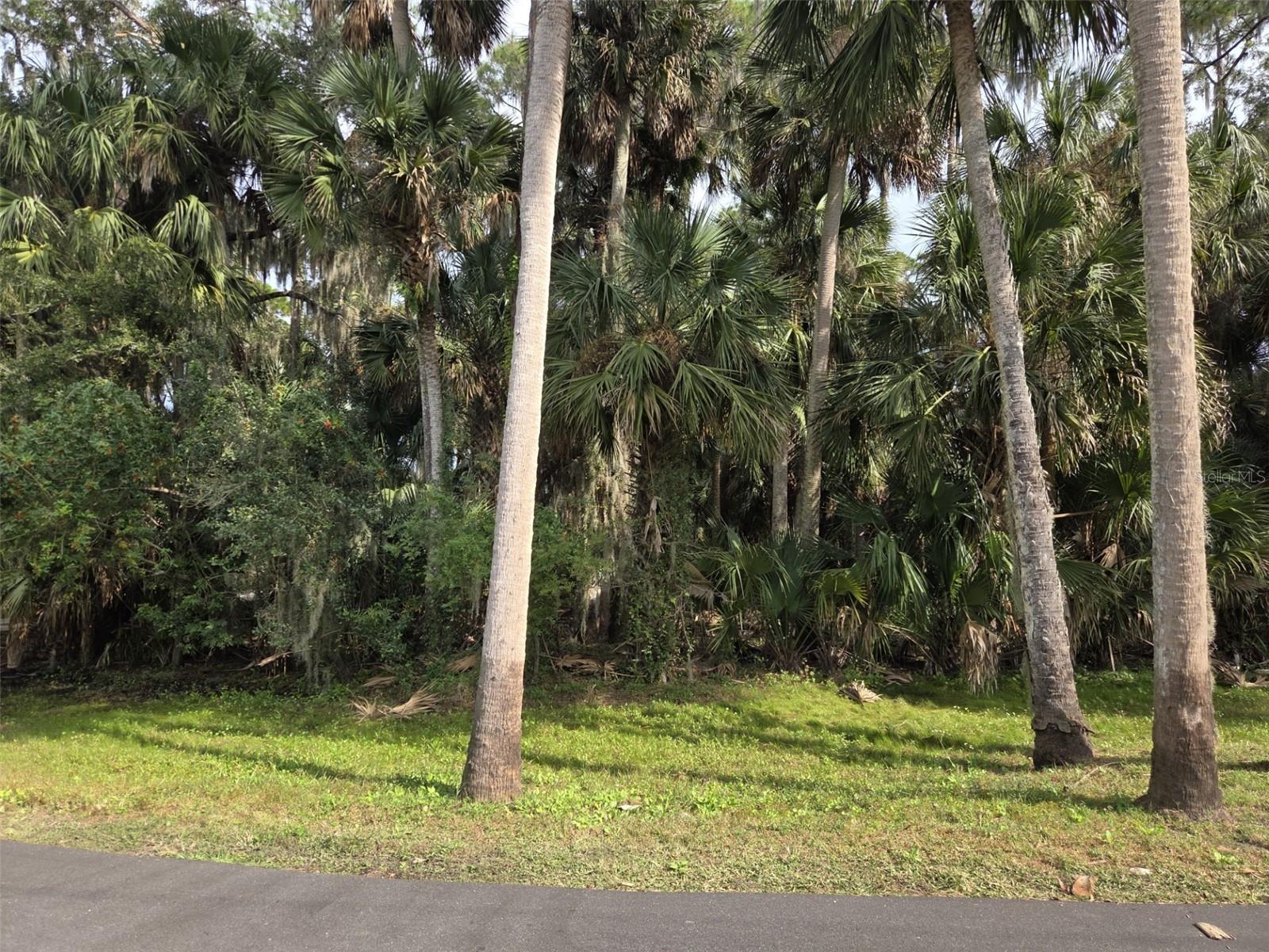 Image 3 of 12 For 447 Warrior Trail