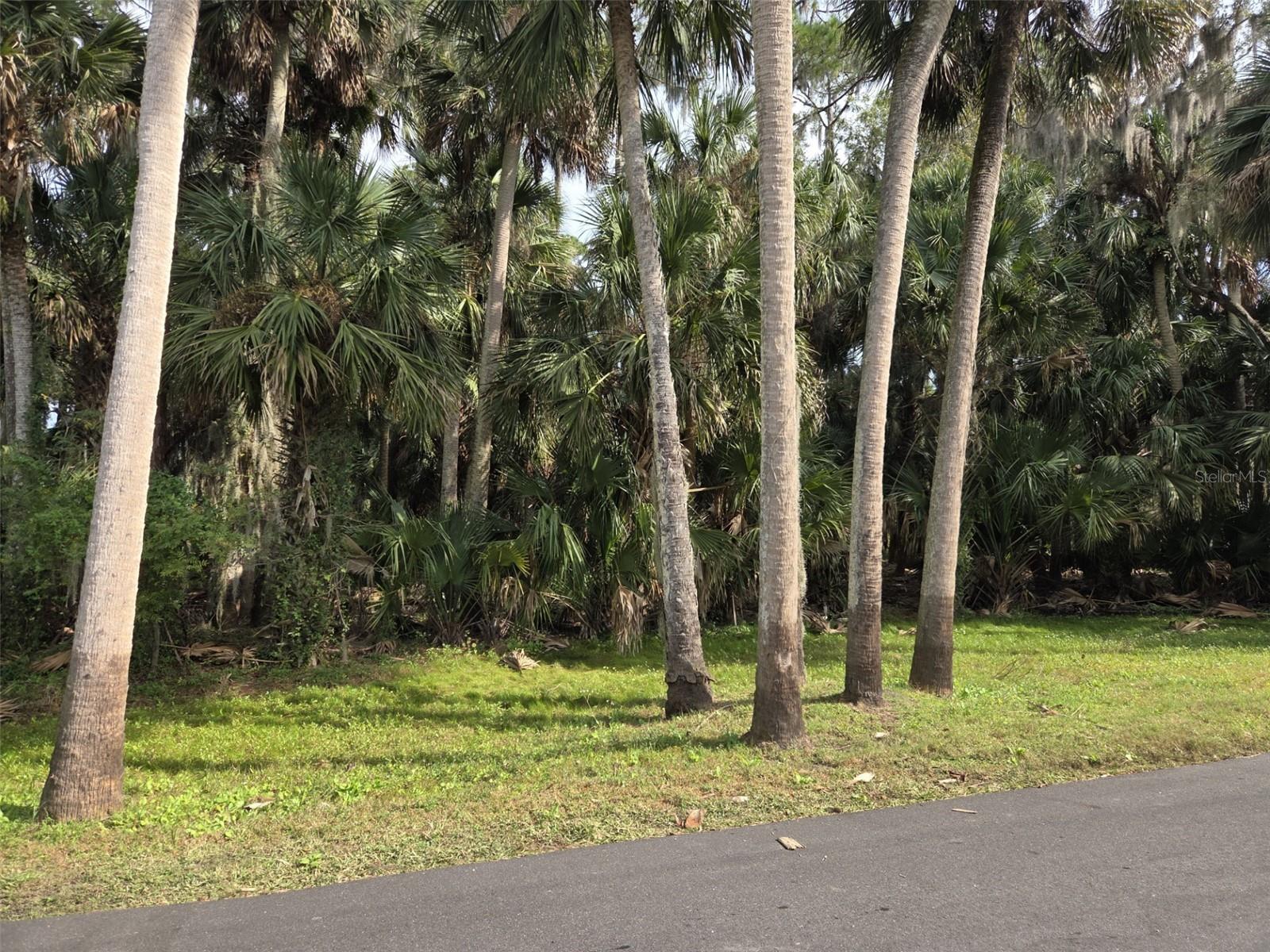 Image 4 of 12 For 447 Warrior Trail