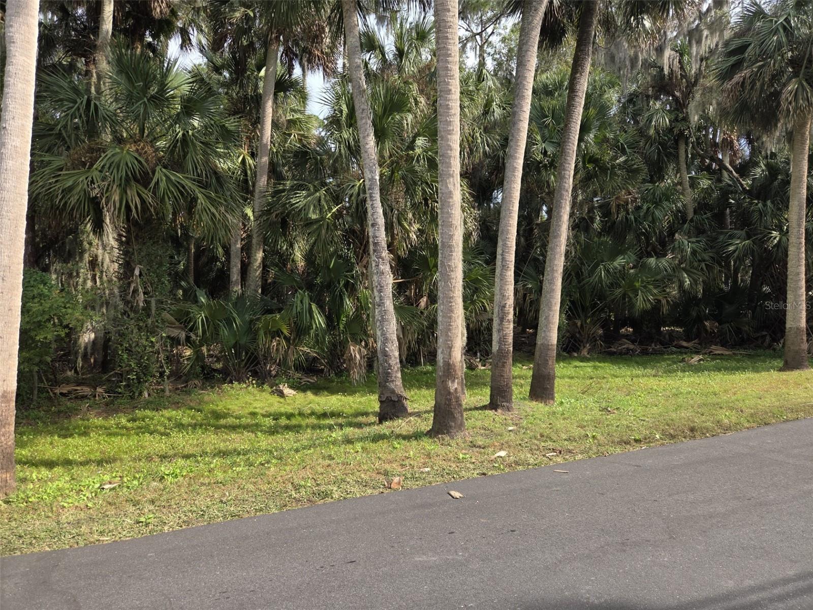 Image 5 of 12 For 447 Warrior Trail