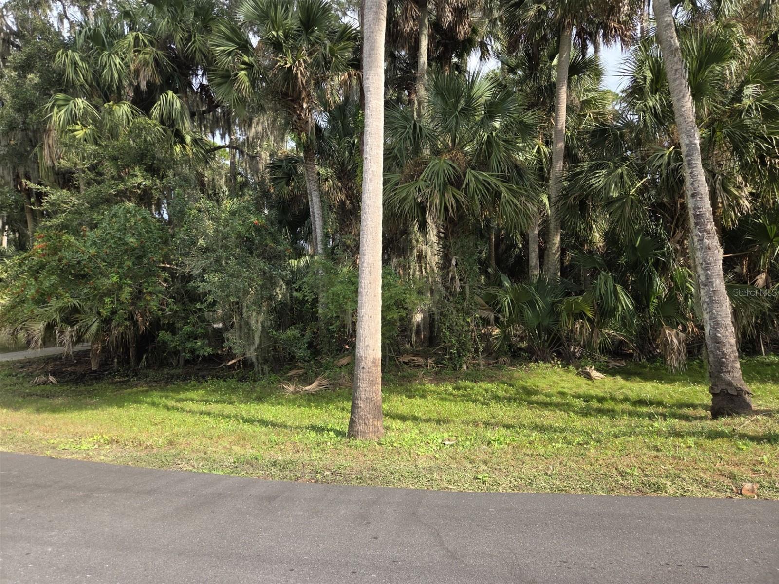 Image 6 of 12 For 447 Warrior Trail