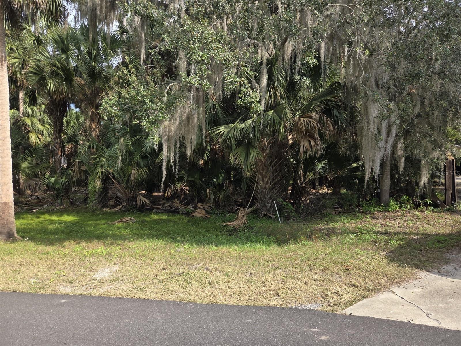 Image 7 of 12 For 447 Warrior Trail