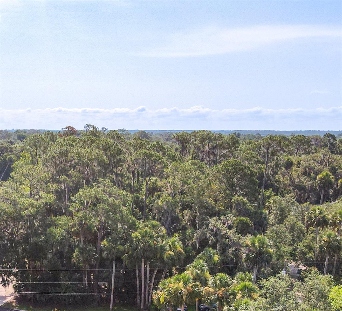 Image 8 of 12 For 447 Warrior Trail