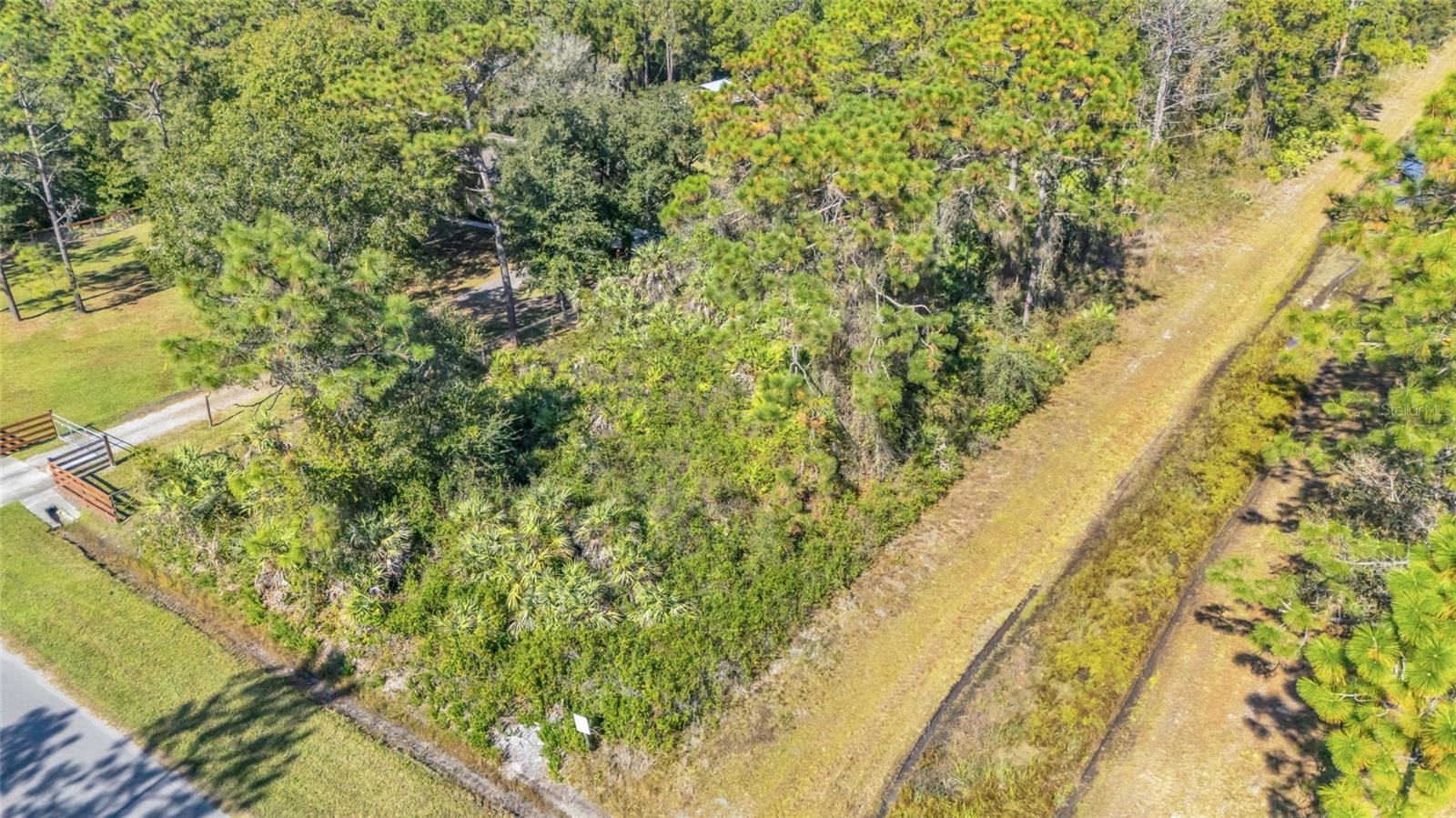 Image 40 of 40 For Quinlan Street