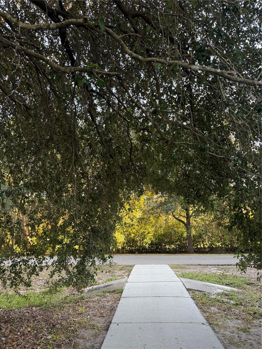 Image 23 of 25 For 2624 Sweet Magnolia Place