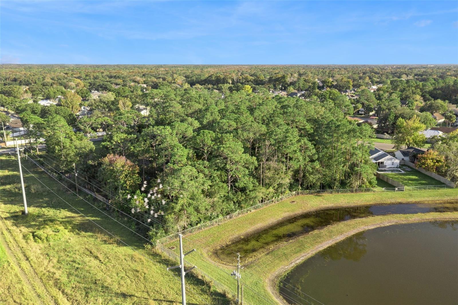 Image 3 of 9 For Percival Road