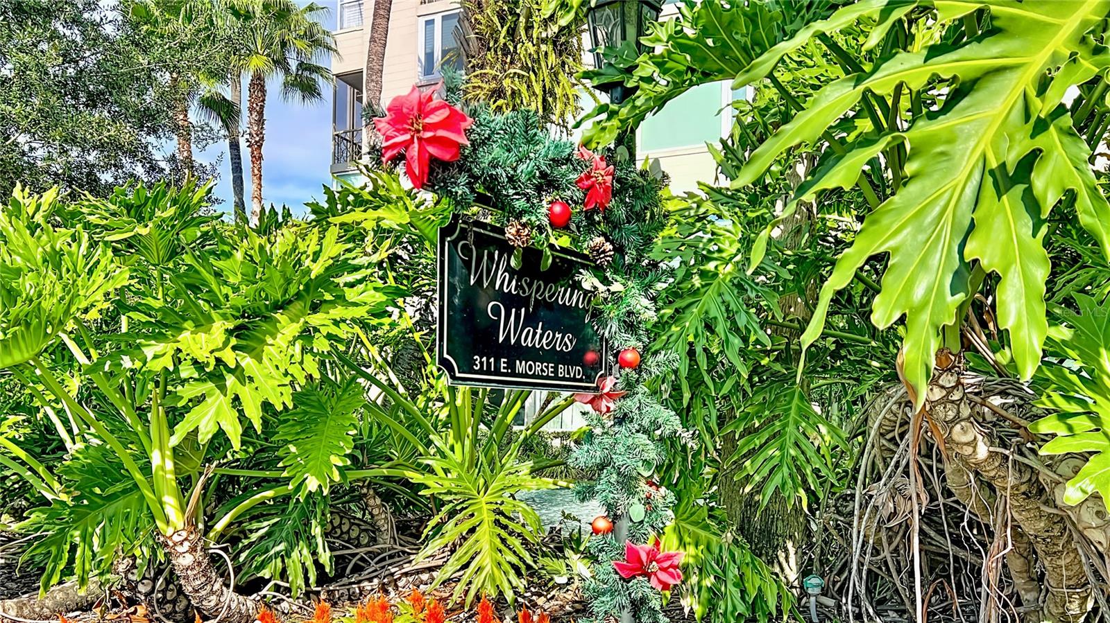 Image 21 of 36 For 311 Morse Boulevard 6-3