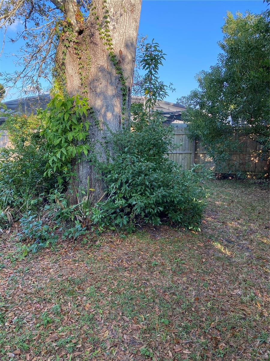 Image 25 of 31 For 5047 Ferncrest Drive