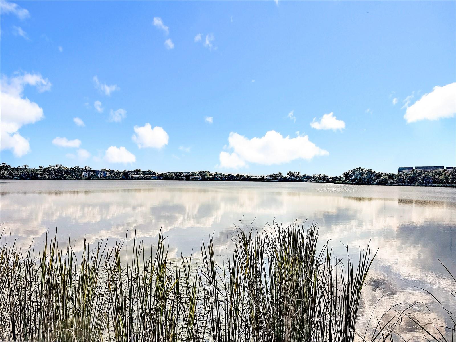 Image 23 of 42 For 1125 Lake Shadow Circle 5308