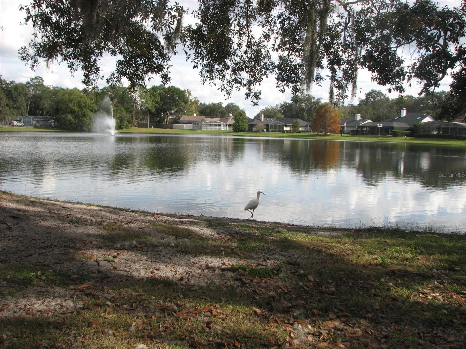 Image 54 of 58 For 625 Heather Brite Circle