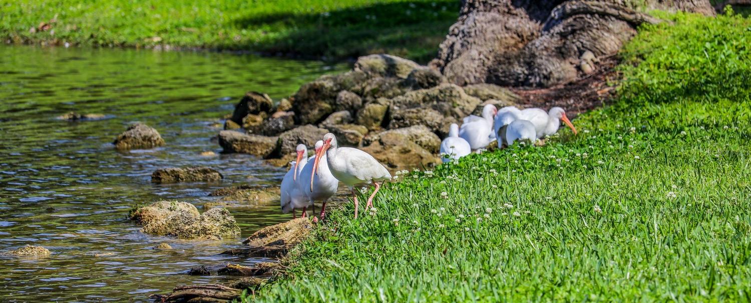 Image 49 of 58 For 645 Laurel Oak Lane 113