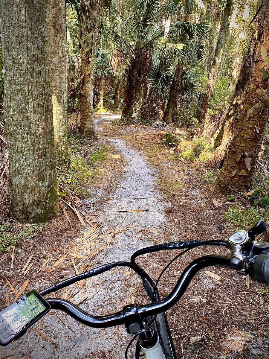 Image 18 of 20 For 601 Mcdonald Street 208