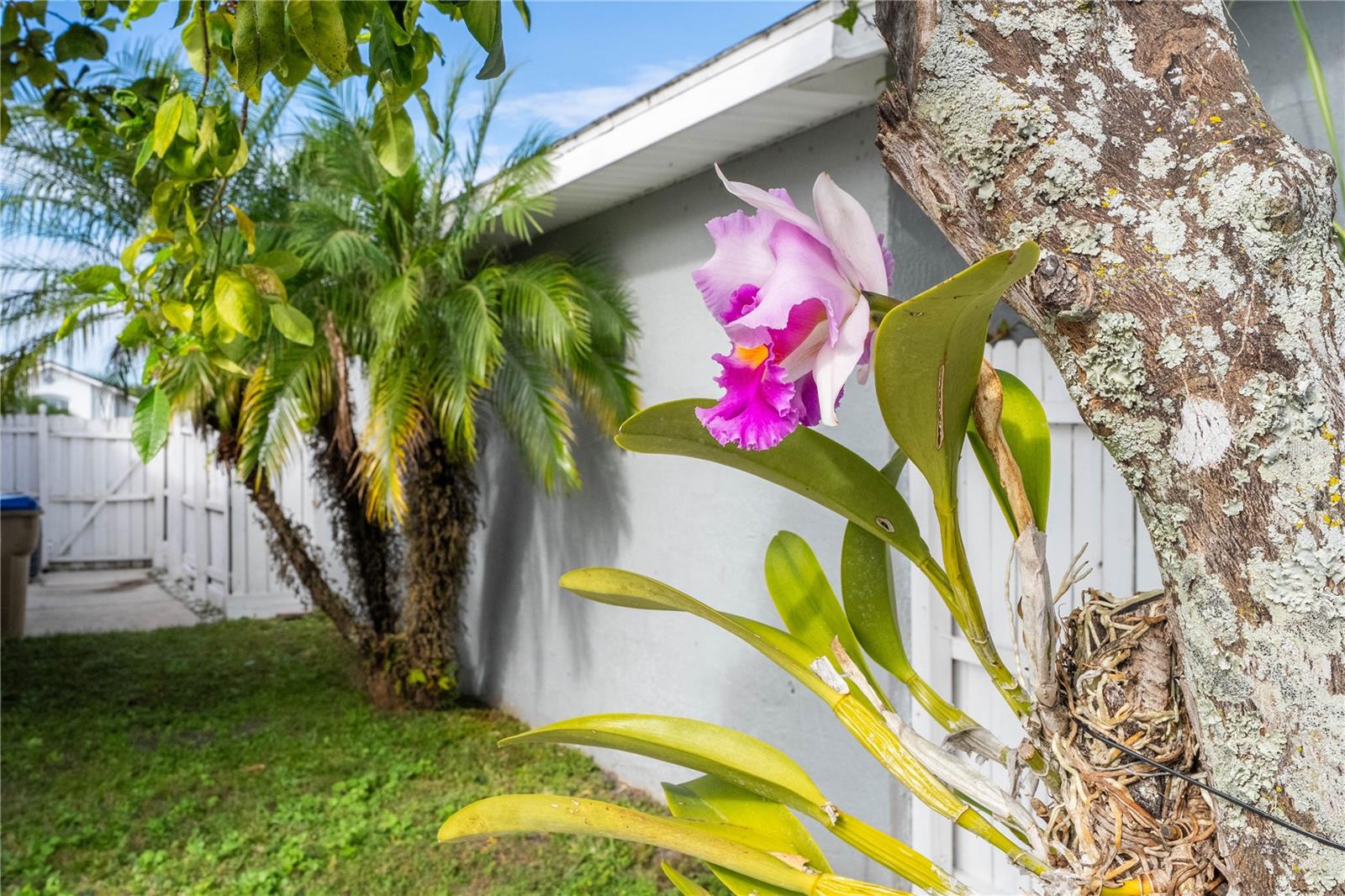 Image 50 of 55 For 3219 Brewster Drive