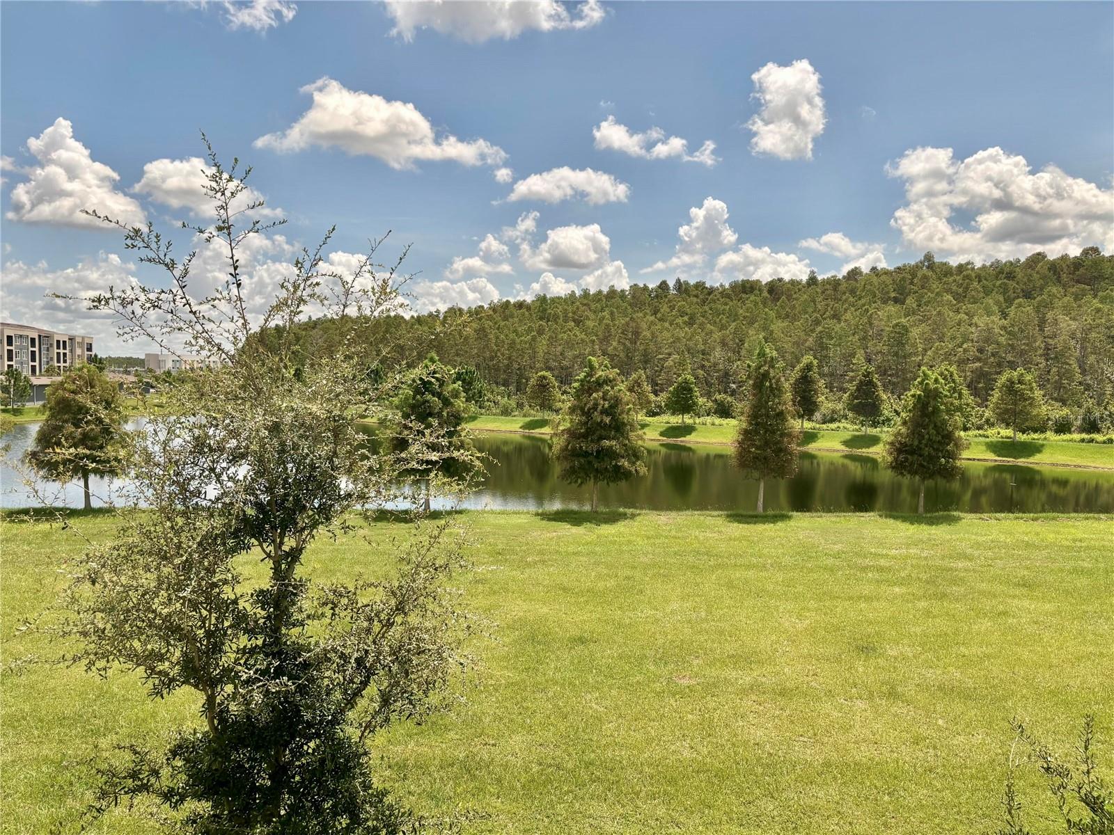 Image 17 of 19 For 2186 Great Sapphire Lane