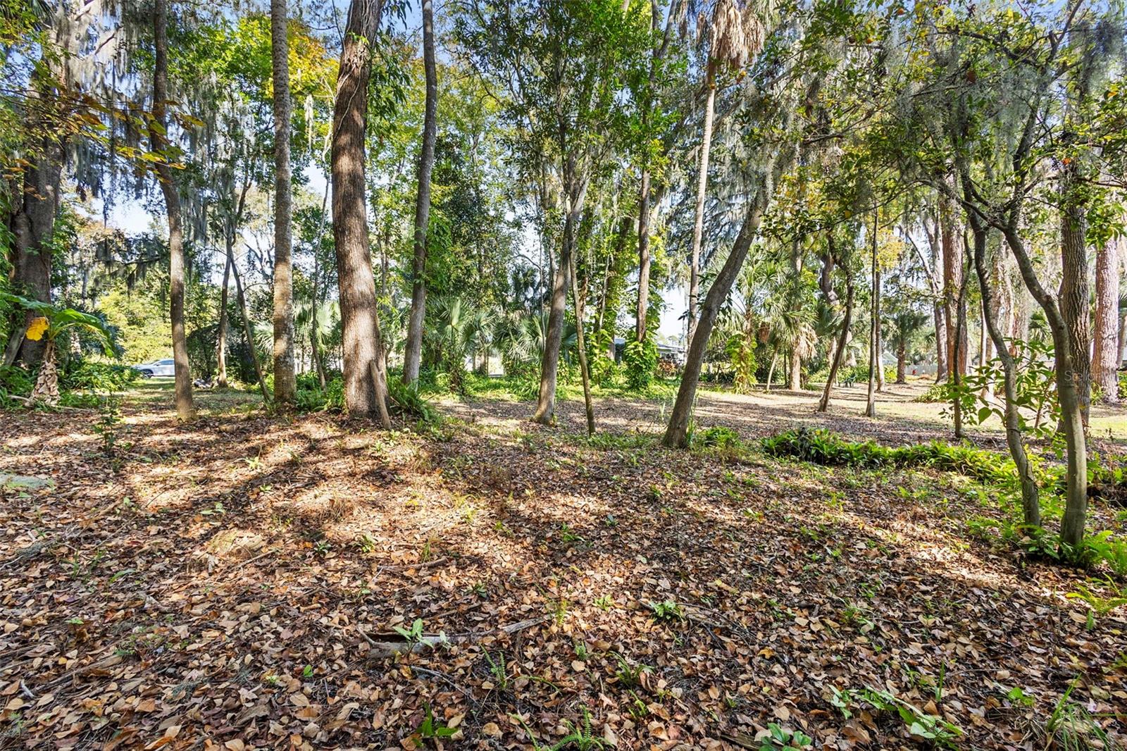 Image 63 of 78 For 353 Lake Crescent Drive