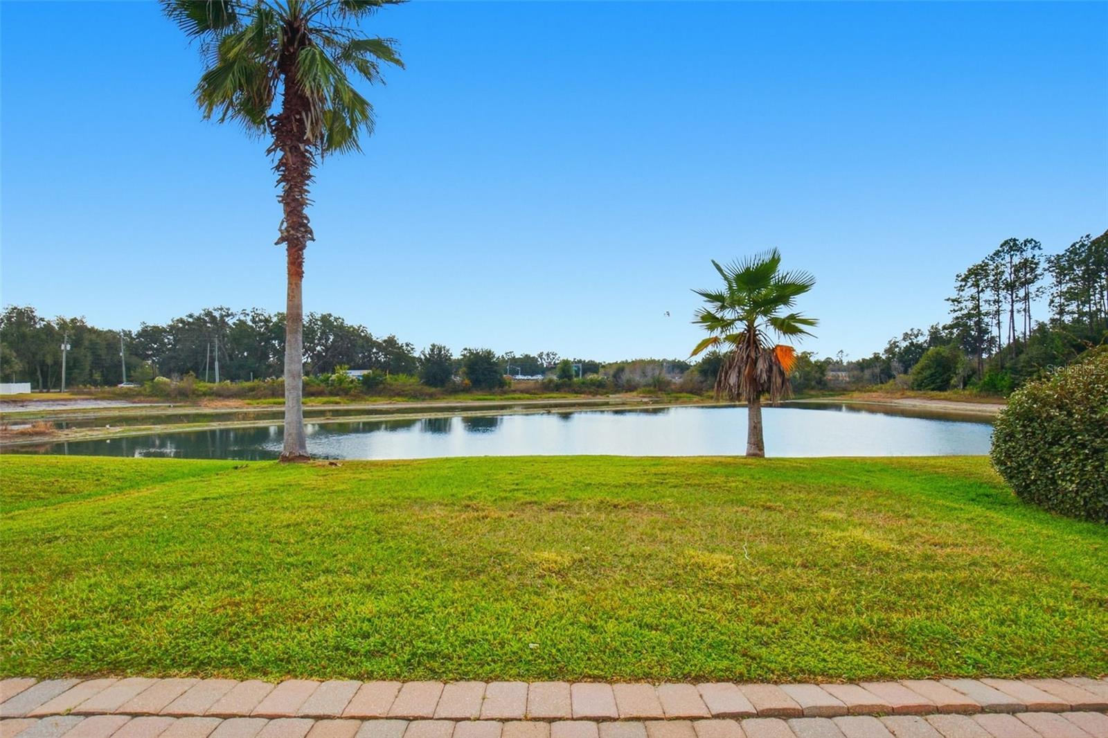 Image 33 of 40 For 30230 Double Drive