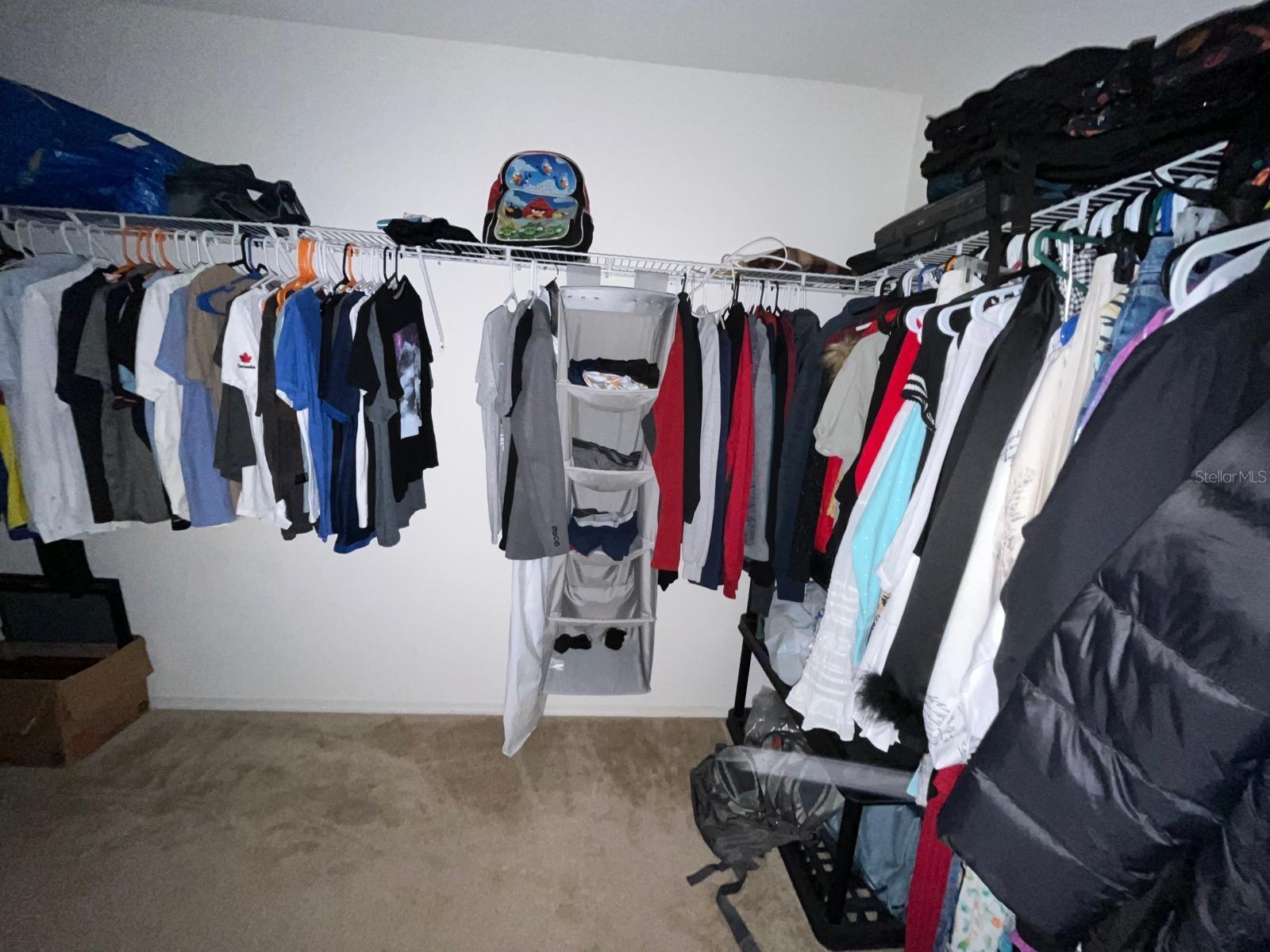 Image 11 of 21 For 7618 Tangle Rush Drive