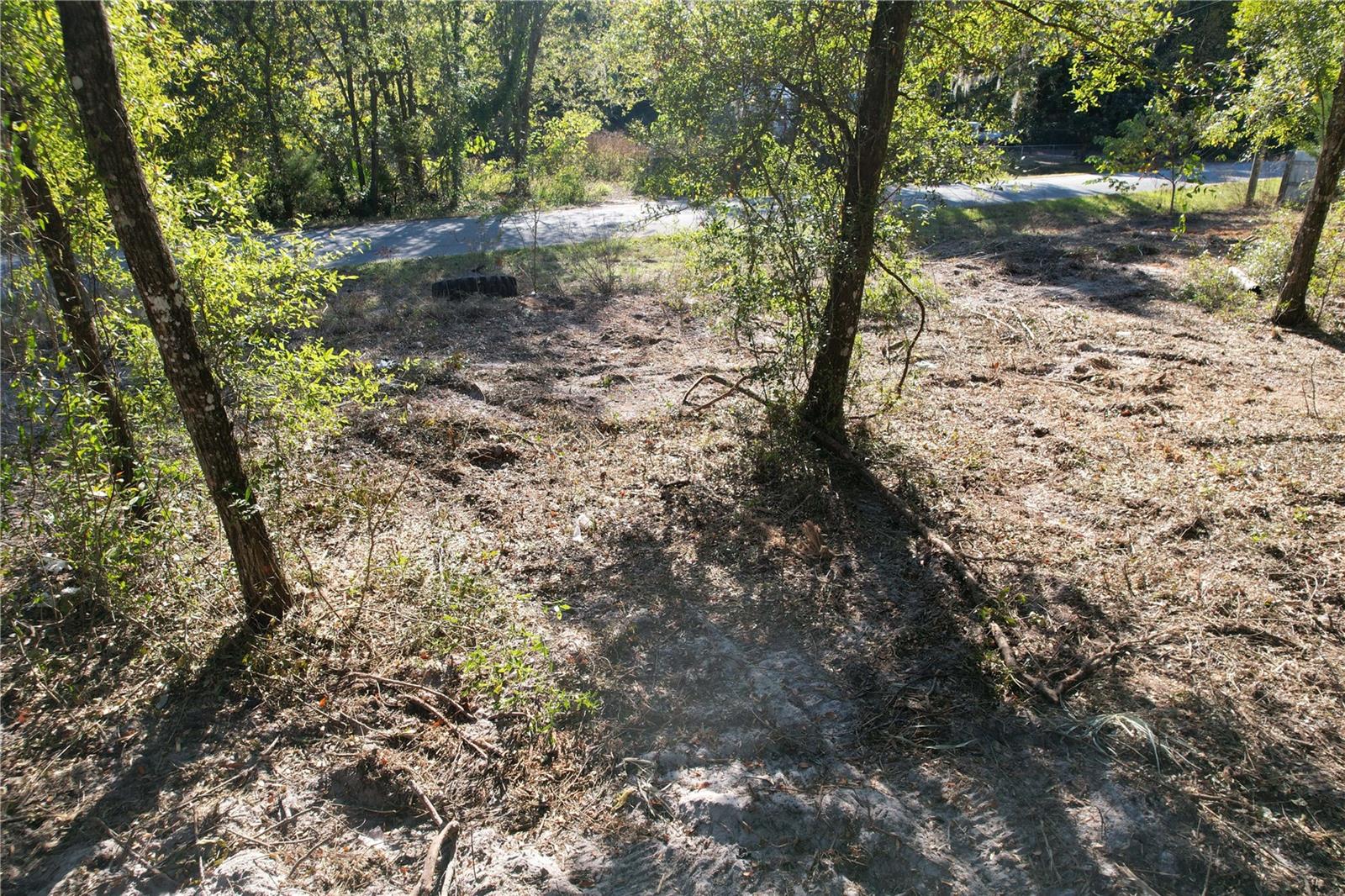 Image 5 of 7 For  7th Place 