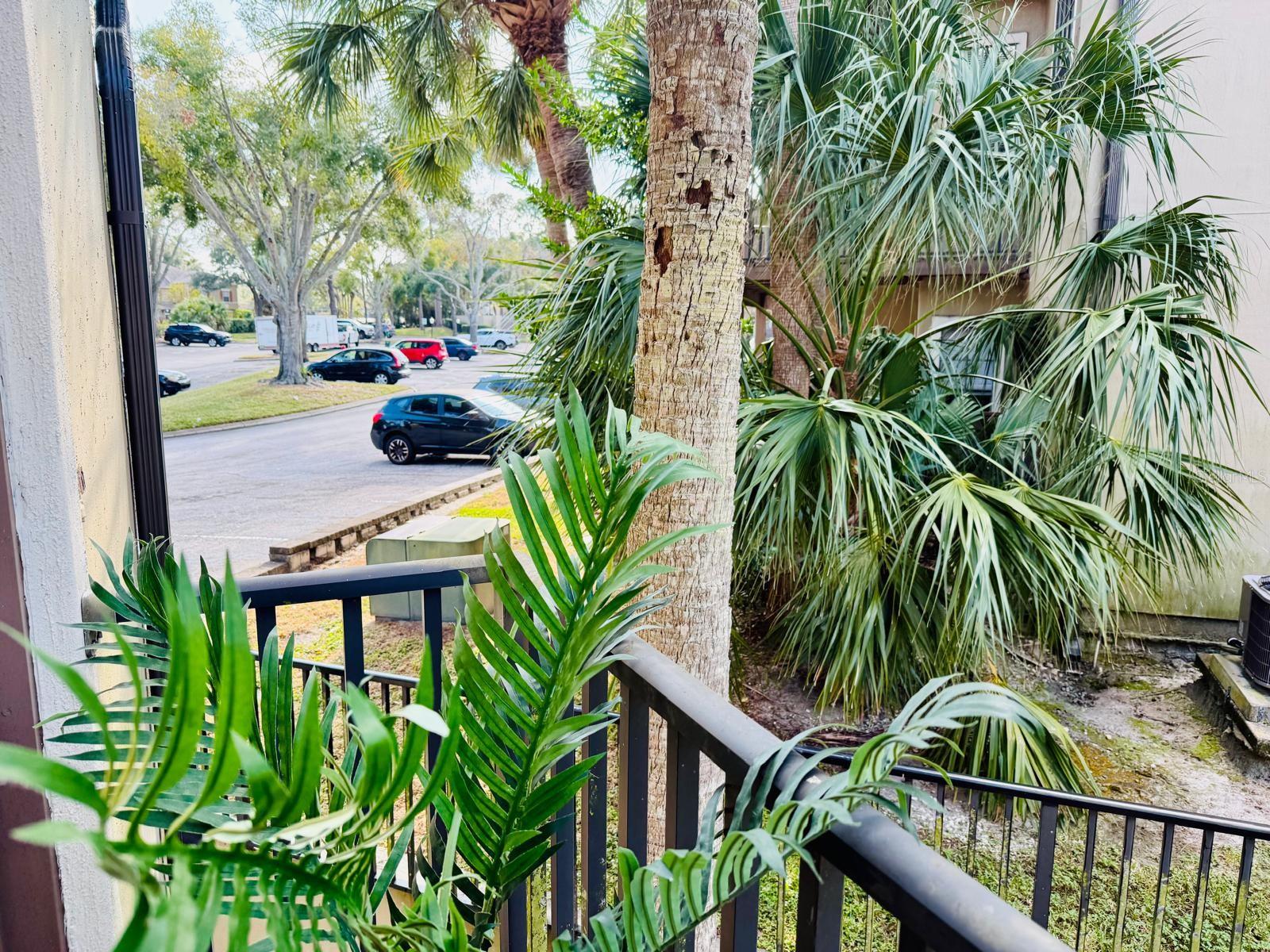 Image 40 of 58 For 216 Afton Square 202