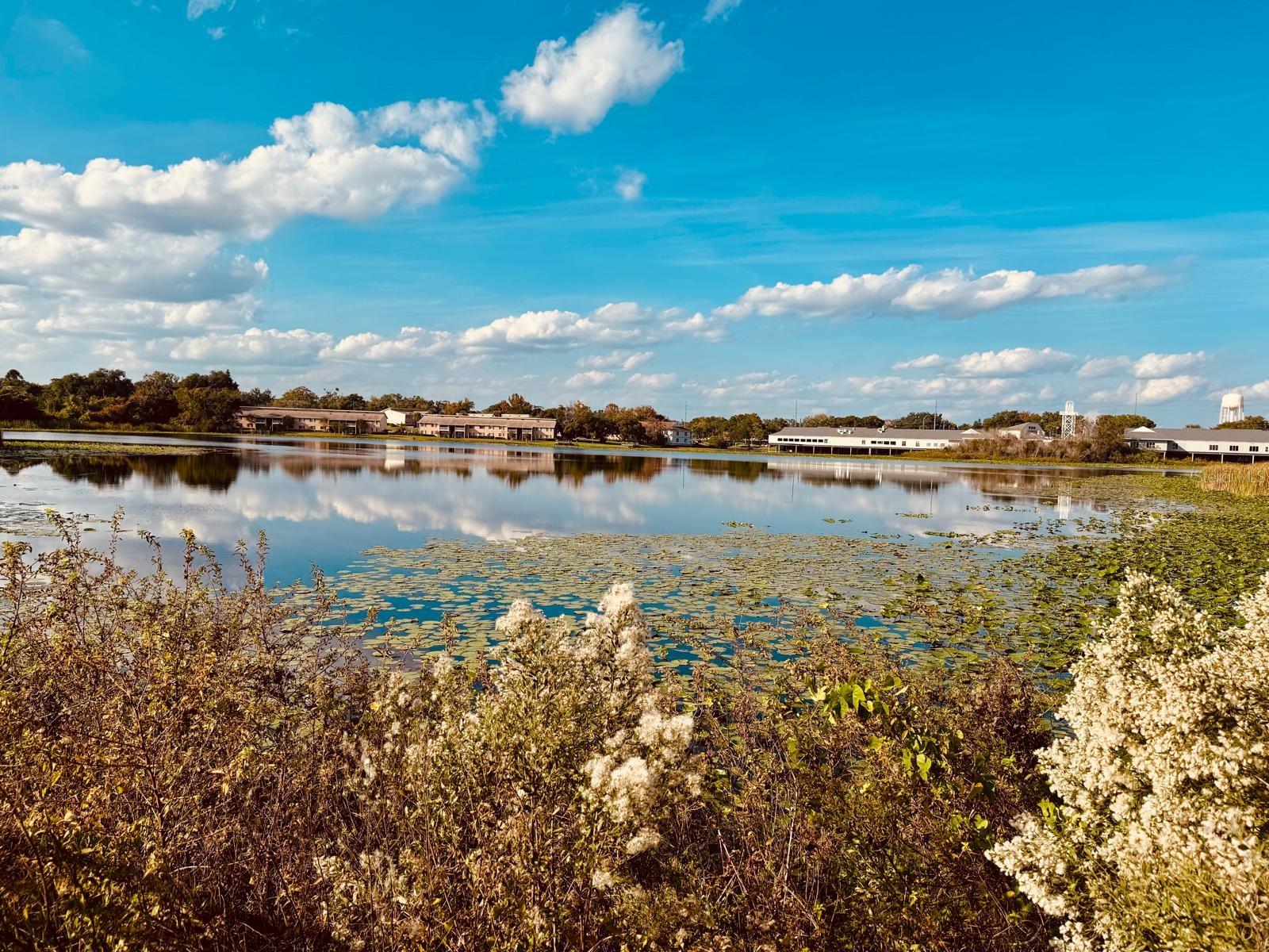 Image 47 of 58 For 216 Afton Square 202