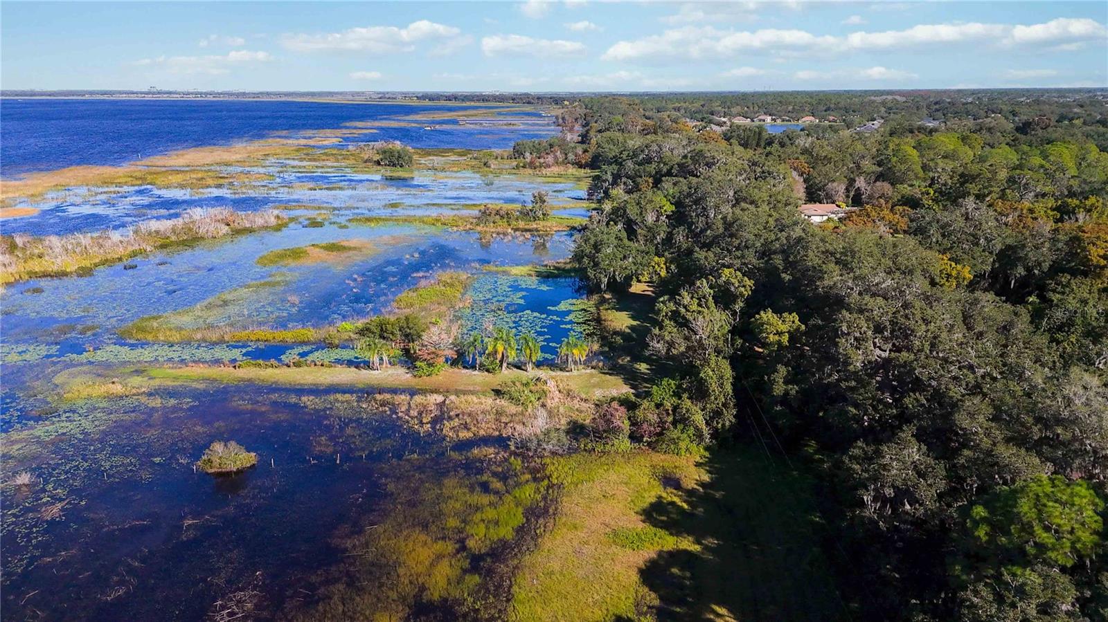 Image 11 of 15 For 0 Lillian Black Road