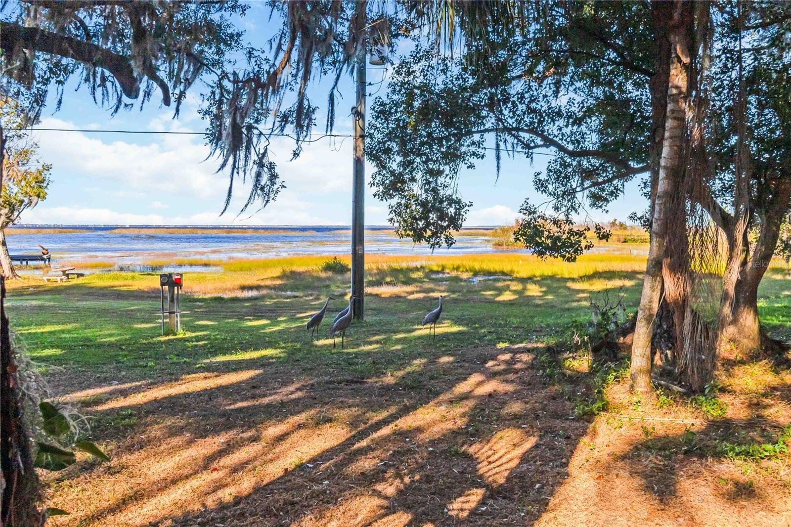 Image 8 of 15 For 0 Lillian Black Road