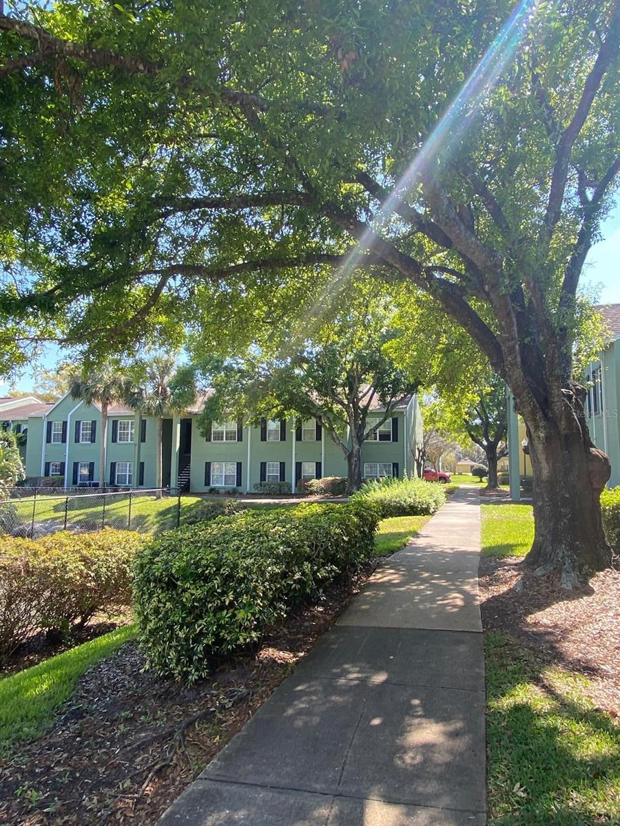 Image 51 of 68 For 2007 Dixie Belle Drive 2007 M