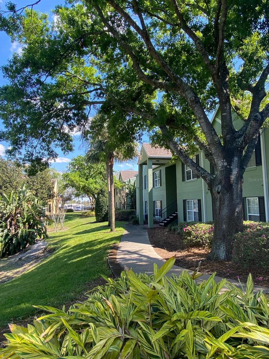 Image 52 of 68 For 2007 Dixie Belle Drive 2007 M