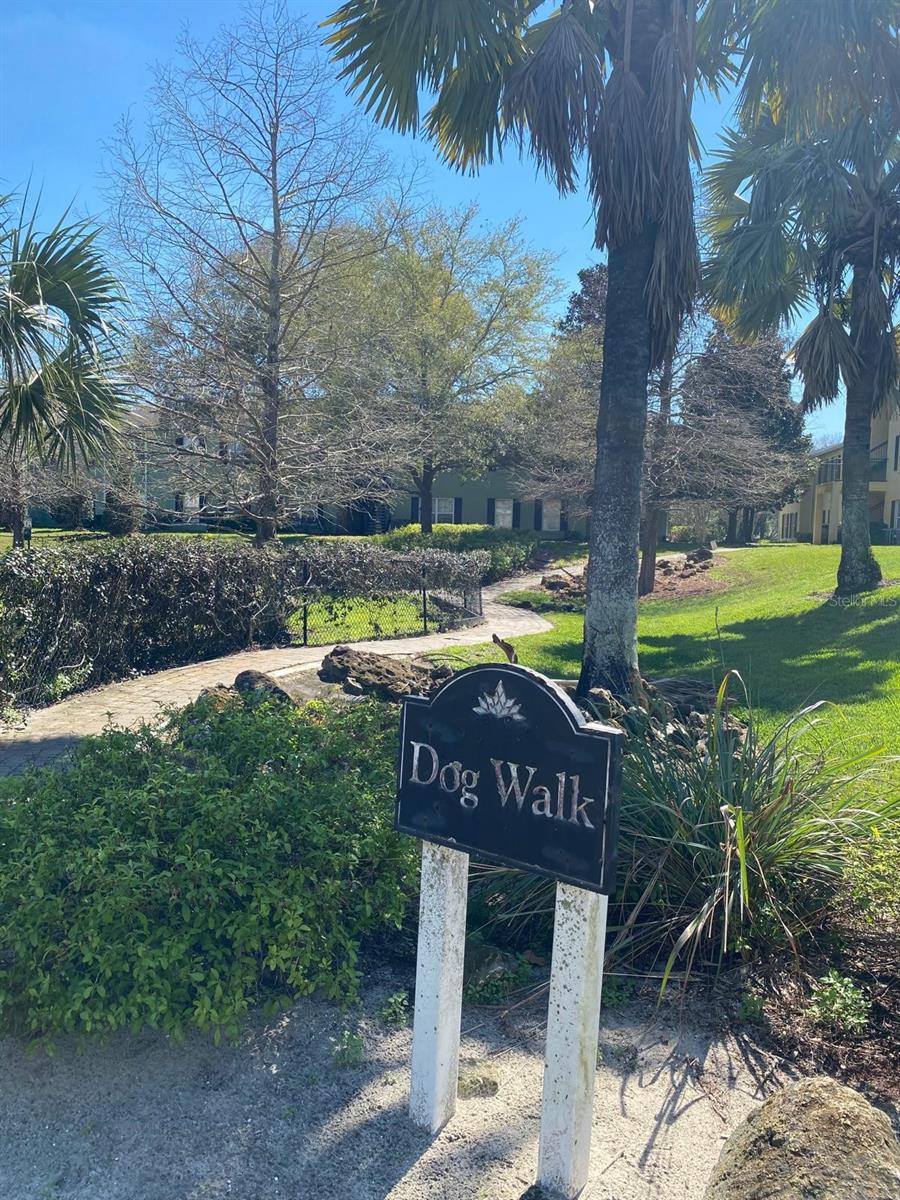 Image 59 of 68 For 2007 Dixie Belle Drive 2007 M