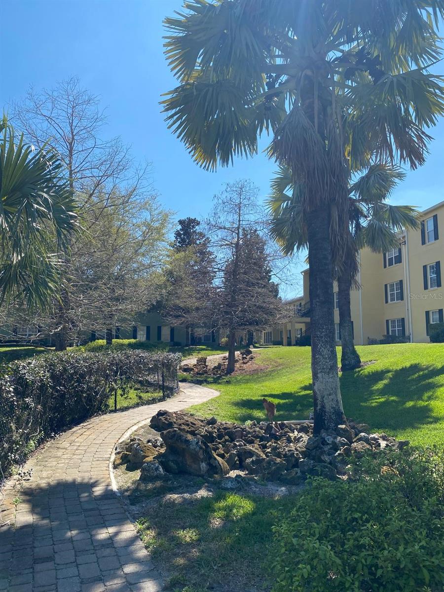 Image 61 of 68 For 2007 Dixie Belle Drive 2007 M