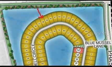 Image 24 of 33 For 597 Moon Shell Circle