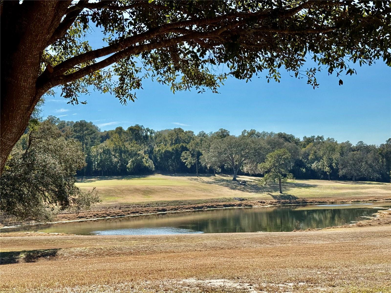 Image 49 of 81 For 3781 Cohen Drive 724