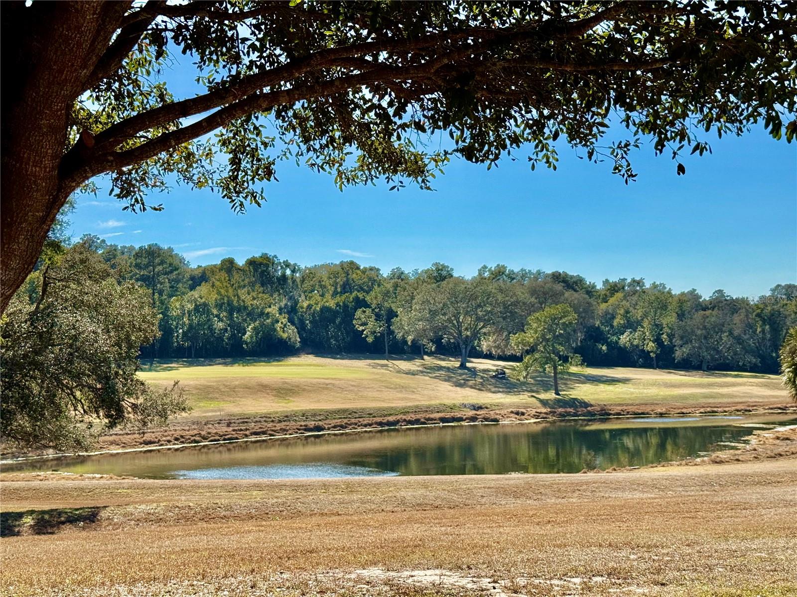 Image 50 of 81 For 3781 Cohen Drive 724