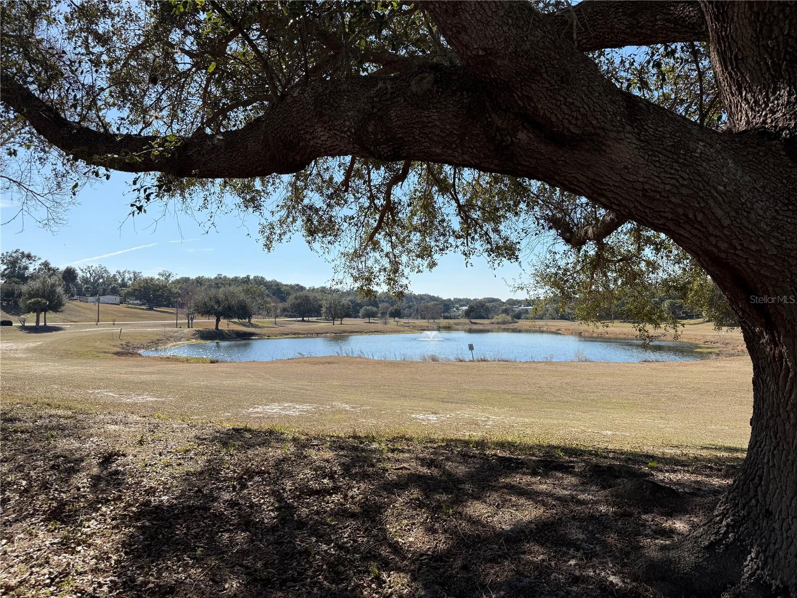 Image 51 of 81 For 3781 Cohen Drive 724