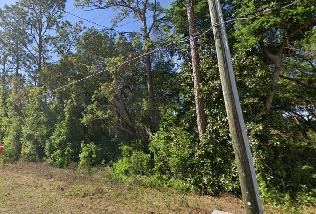 Details for 17th Lane , OCKLAWAHA, FL 32179