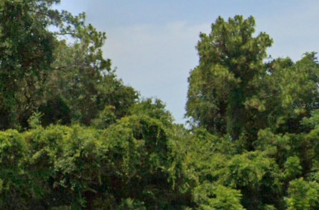 Image 2 of 8 For  17th Lane 