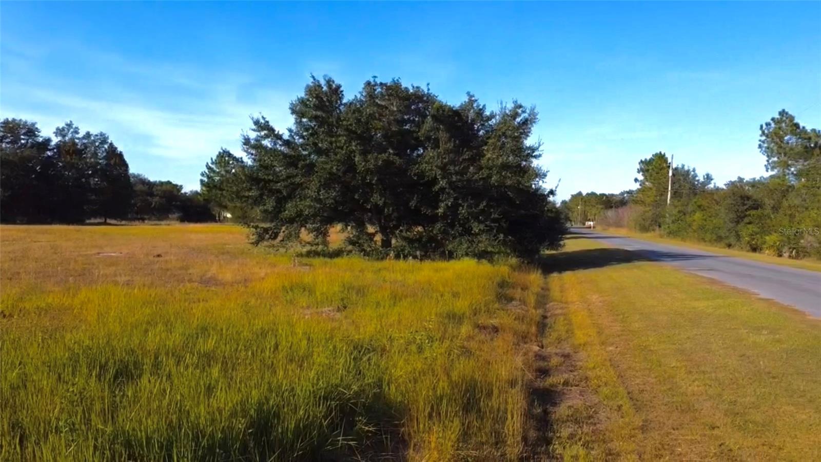 Image 7 of 7 For Lot 250 Peabody Street