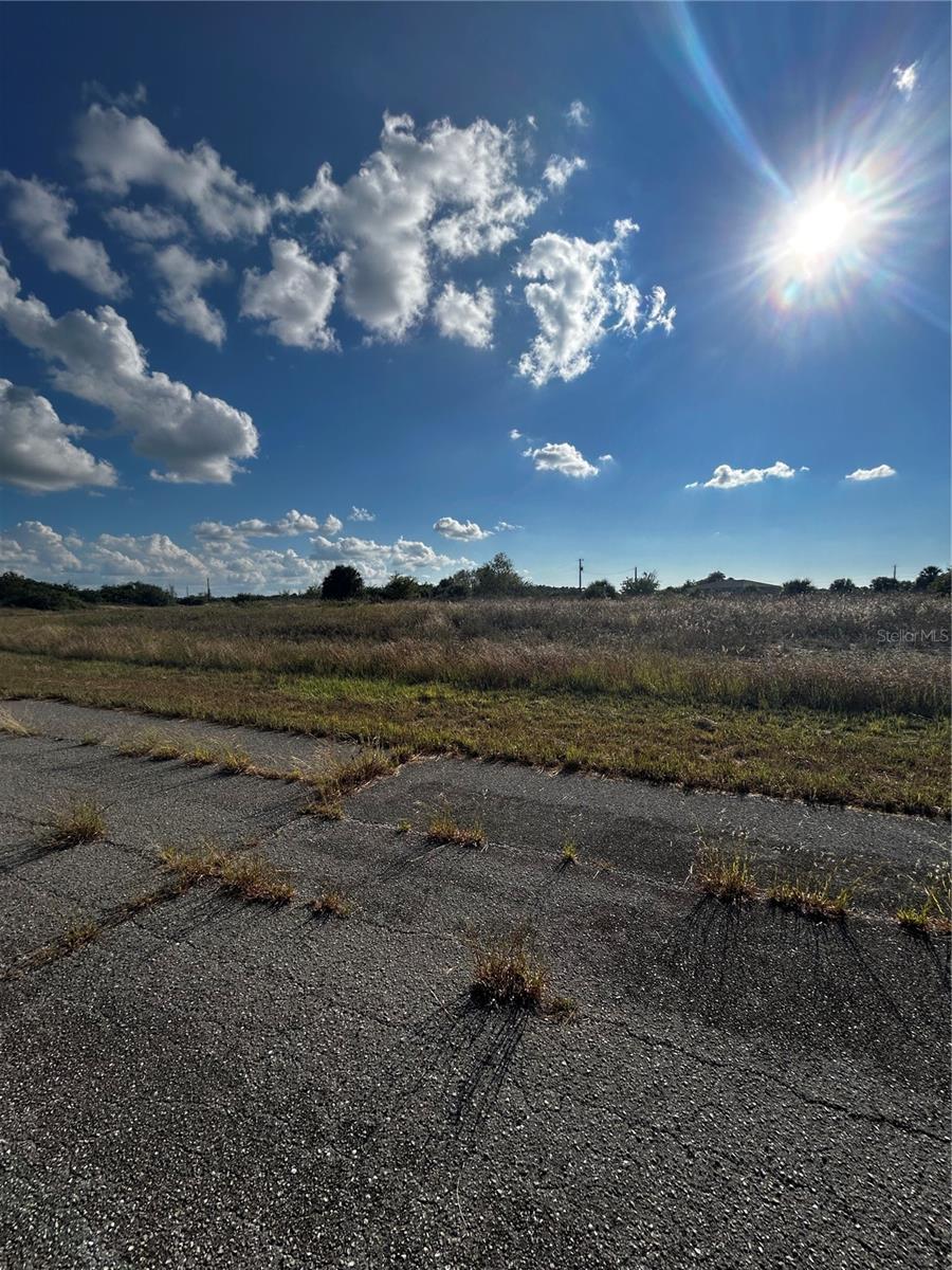 Image 3 of 7 For 216 Leinster Place