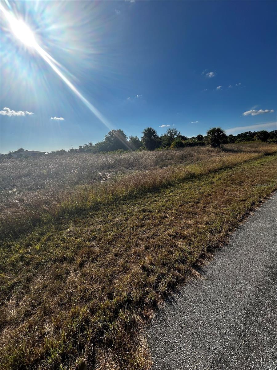 Image 4 of 7 For 216 Leinster Place