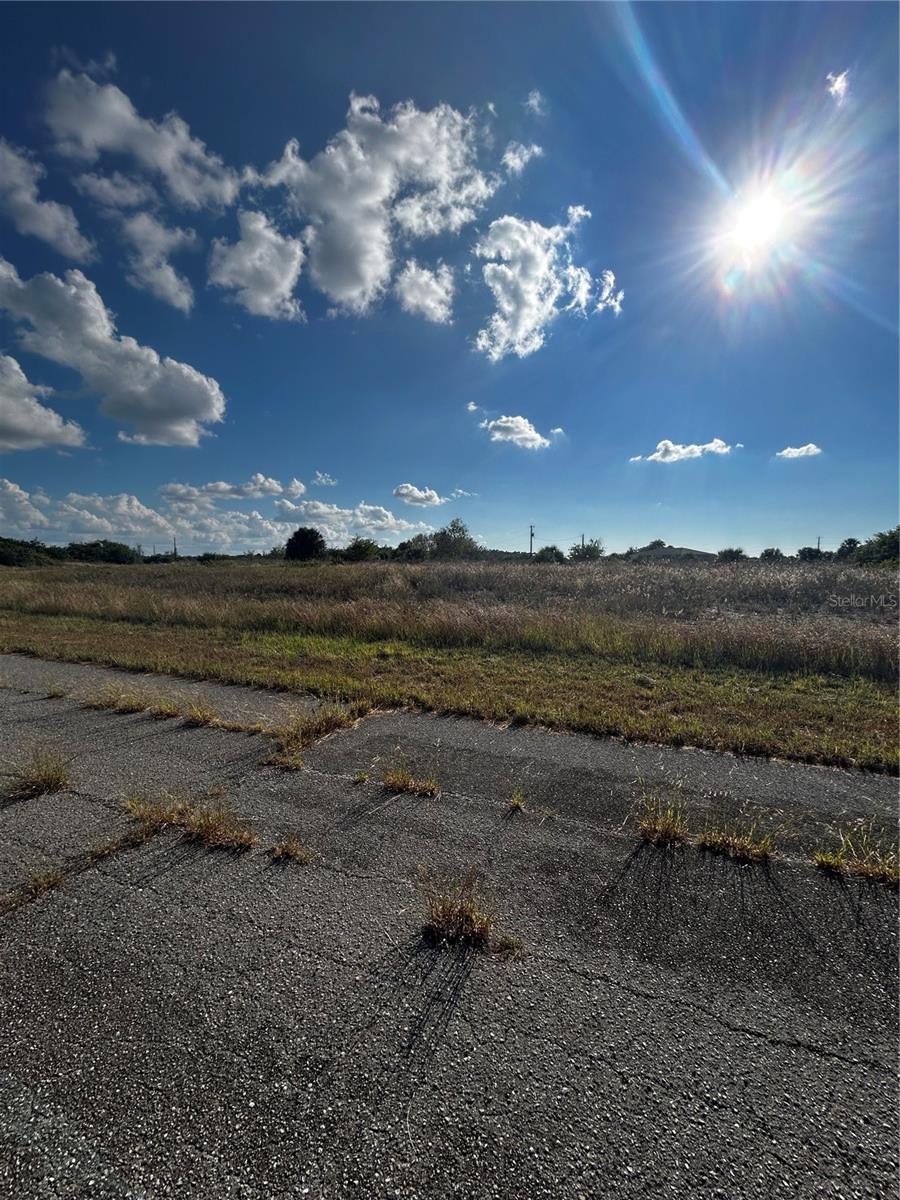 Image 5 of 7 For 216 Leinster Place