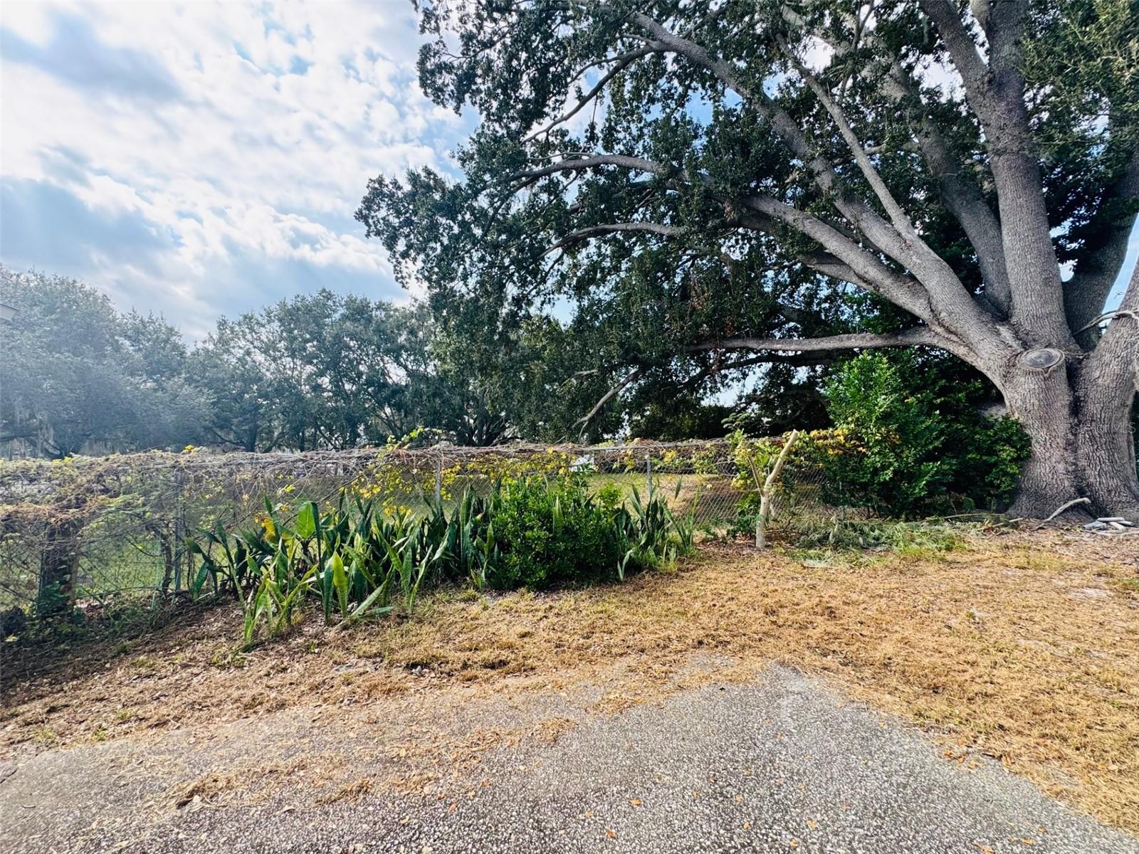 Image 25 of 38 For 8126 Calabria Court