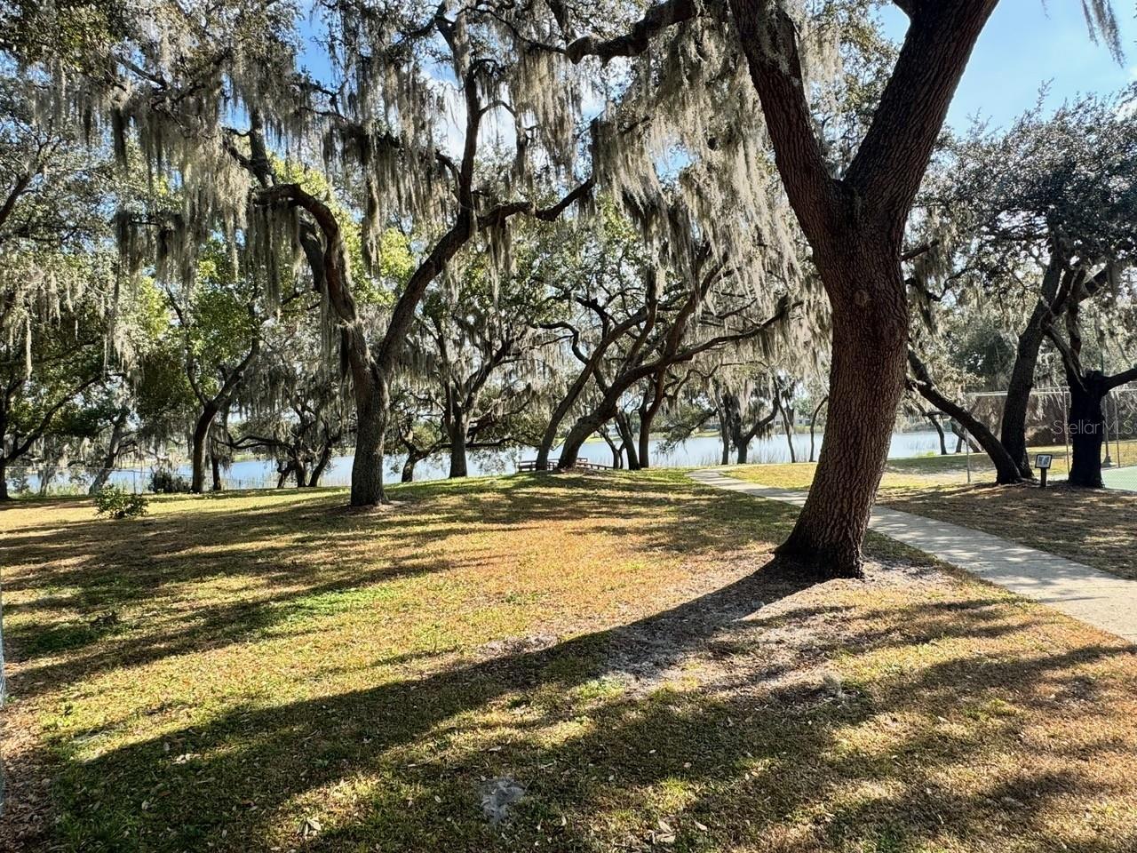 Image 33 of 38 For 8126 Calabria Court