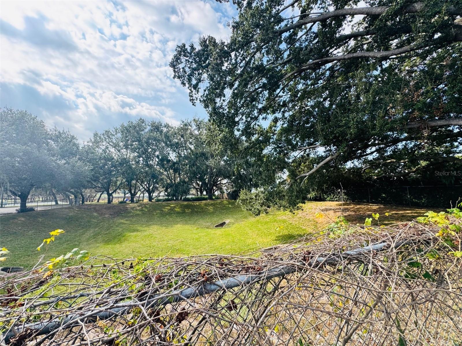 Image 4 of 38 For 8126 Calabria Court