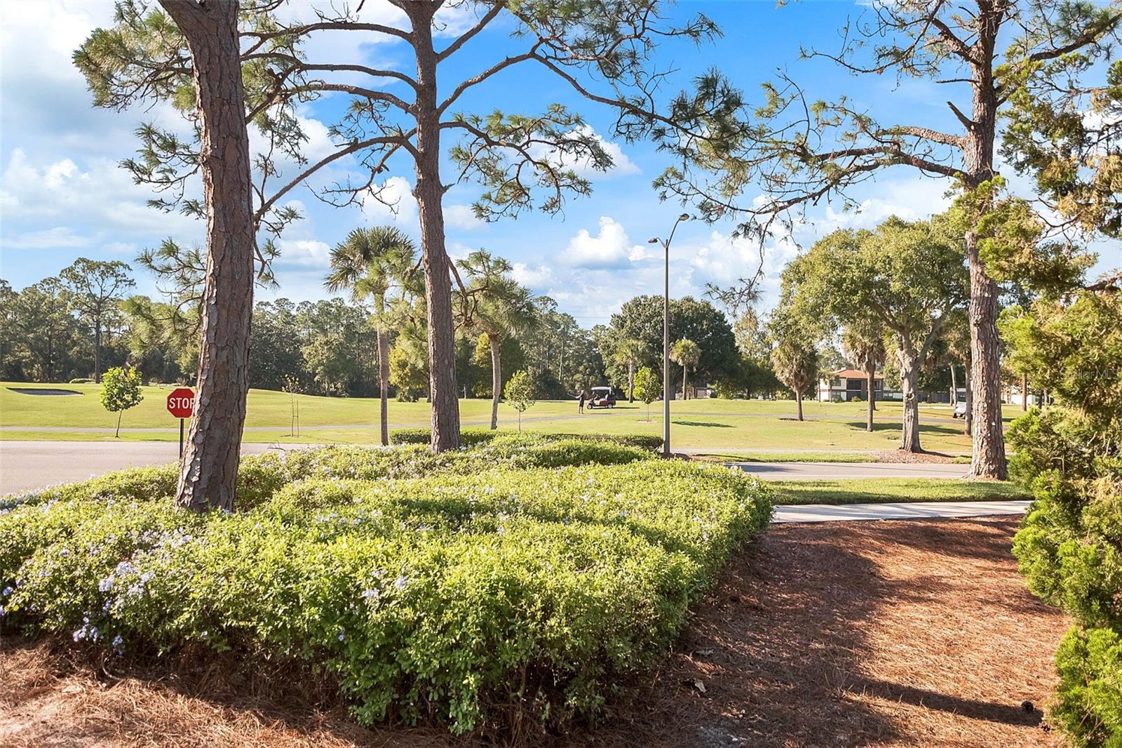 Image 26 of 27 For 3210 Candle Ridge Drive 203